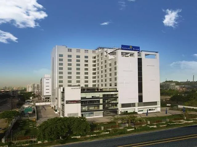 golden tulip
